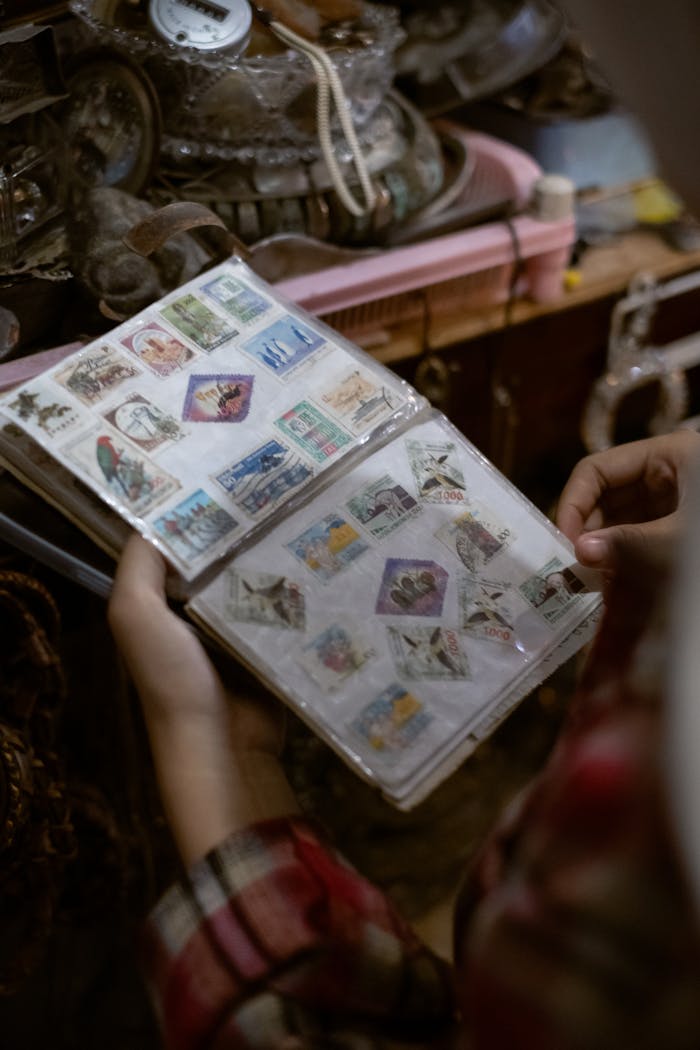 Hands holding an album of vintage postage stamps in a cozy antique shop setting.